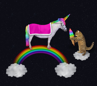 The cat is feeding the unicorn with an ice cream cone on the rainbow between two clouds at night. Stars background.