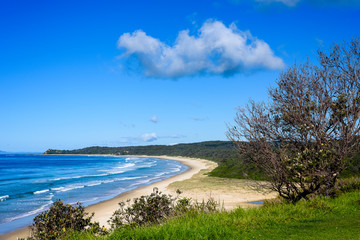 Beach landscape with grass and trees, taken in Urunga. It is a popular holiday destination in New South Wales, Australia.