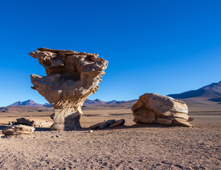 Fototapeta na wymiar Unique landscape of the Siloli Desert with Stone Tree Arbol de Piedra in the valley of rocks, Bolivia