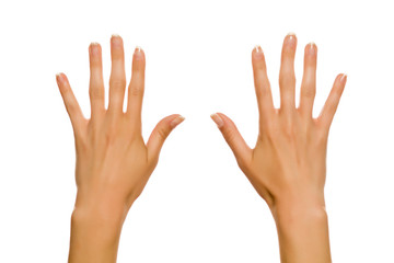 Two female open hands on white background