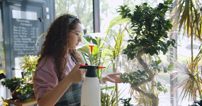 Worker of flower shop young woman is sprinking green plants with water caring for greenery and smiling enjoying job. People and small business concept.