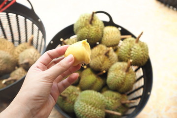 Fresh Durian 