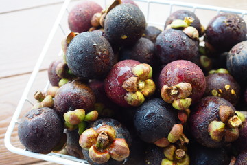 Mangosteen