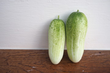 Organic Cucumber Plant Home Garden 