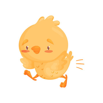 Cute chick is running. Vector illustration on white background.