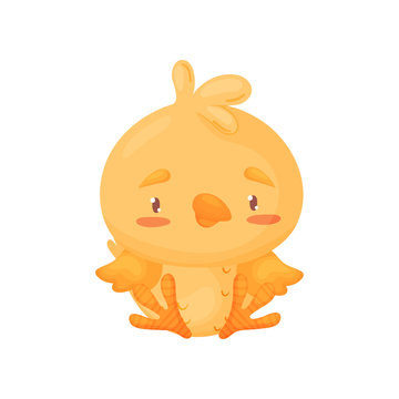 Cute yellow chick is sitting. Vector illustration on white background.