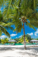 Palm trees and hammock on a tropical beach, islands of Vanuatu