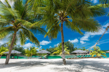 Fototapeta na wymiar Palm trees and hammock on a tropical beach, islands of Vanuatu