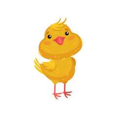 Little yellow chicken is worth it. Vector illustration on white background.