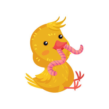 Little yellow cartoon chicken eats a worm. Vector illustration on white background.