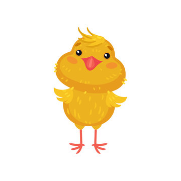 Little yellow cartoon chicken stands. Vector illustration on white background.