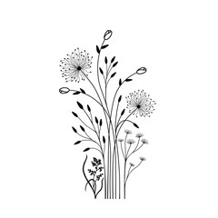 Bouquet of field flowers. Black and white illustration.
