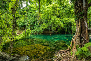 Fototapeta premium Rarru Rentapao Cascades, Waterfall and the River, Teouma village, Efate Island, Vanuatu