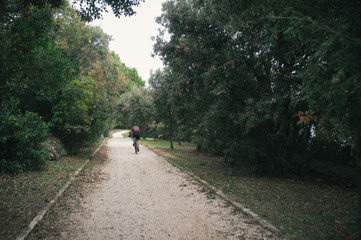 Obraz premium Searching quiet roads, pine trees and olive orchards, Istria