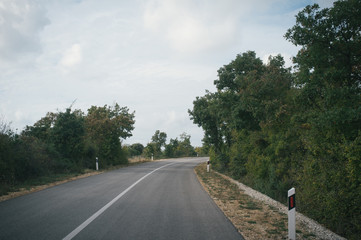 Searching quiet roads, pine trees and olive orchards, Istria