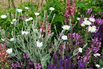 Obraz premium flower border in garden