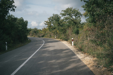 Searching quiet roads, pine trees and olive orchards, Istria