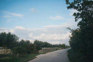 Searching quiet roads, pine trees and olive orchards, Istria