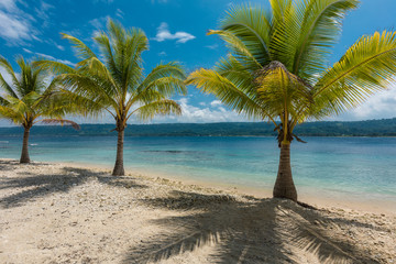 Obraz na płótnie Canvas Beach with palm trees, tropical Efate island, Vanuatu