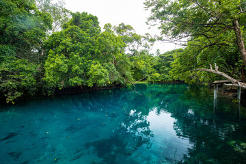 Fototapeta premium Matevulu Blue Hole, Espiritu Santa Island, Vanuatu, tourist destination