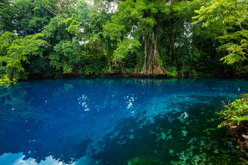Matevulu Blue Hole, Espiritu Santa Island, Vanuatu, tourist destination