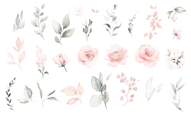 Foto op Aluminium Set aquarel elementen van roze rozen  collectie tuin bloemen  bladeren  takken. Botanisch  illustratie, eucalyptus  Bruiloft bloemdessin © lisima