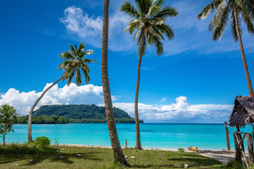 Naklejka premium Port Orly sandy beach with palm trees, Espiritu Santo Island, Vanuatu.