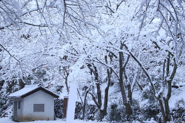 積雪の山の樹木と小屋の冬景色