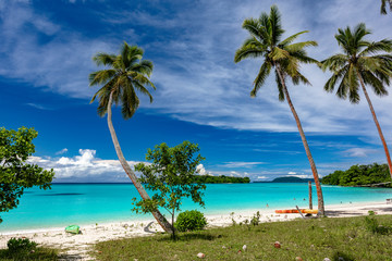 Naklejka premium Port Orly sandy beach with palm trees, Espiritu Santo Island, Vanuatu.