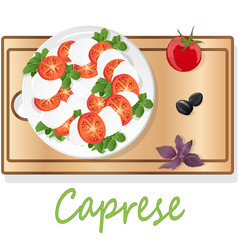 Vector illustration of delicious caprese salad with ripe tomatoes and mozzarella cheese with fresh basil leaves. Italian food isolated.