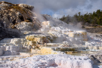 Mammoth Hot Springs