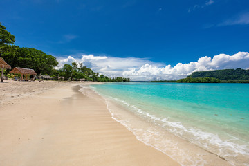 Port Orly sandy beach with palm trees, Espiritu Santo Island, Vanuatu.