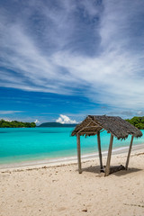 Port Orly sandy beach with palm trees, Espiritu Santo Island, Vanuatu.