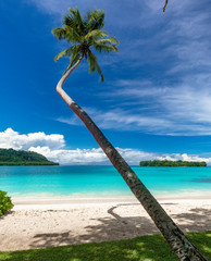 Port Orly sandy beach with palm trees, Espiritu Santo Island, Vanuatu.