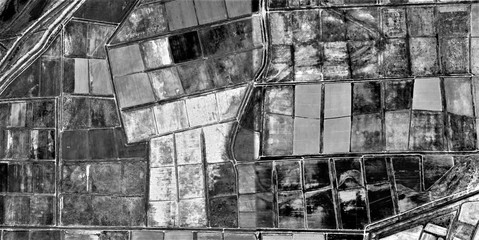 fields of misery, allegory, abstract naturalism, Black and white photo, farms of human crops in the...
