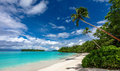 Fototapeta na wymiar Port Orly sandy beach with palm trees, Espiritu Santo Island, Vanuatu.