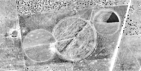 poor family, allegory, abstract naturalism, Black and white photo, farms of human crops in the...