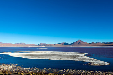 Laguna Colorada, shallow salt lake in the southwest of the altiplano of Bolivia