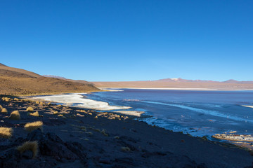 Laguna Colorada, shallow salt lake in the southwest of the altiplano of Bolivia