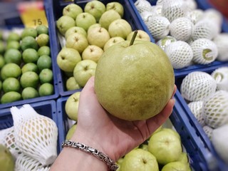 Selective focus of hand holding fresh guava on blurred fruits as a background for sale in the supermarket, ready to eat or making drinks