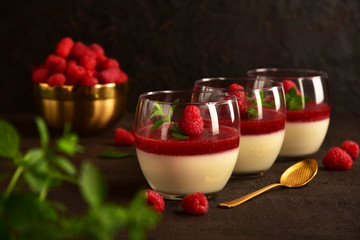 Panna cotta with raspberries on a dark background. Still life