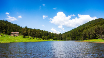 Summer time in the mountain, beautiful lake and green forest with blue sky and white puffy clouds
