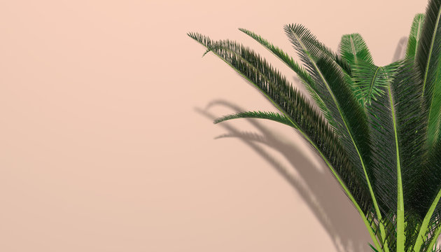 branches of a tropical plant in the right part of the picture on a pink background, 3d illustration