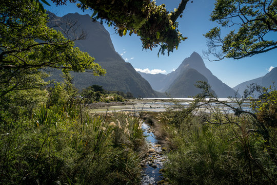 Beautiful day with sunshine at Milford Sound, New Zealand