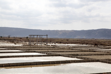 Sečovlje Salina Nature Park