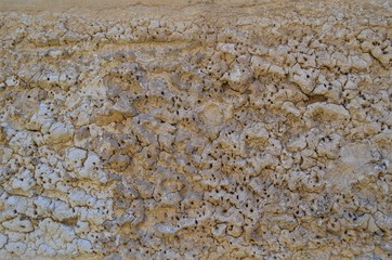 the texture of the ancient wall reminiscent of an anthill