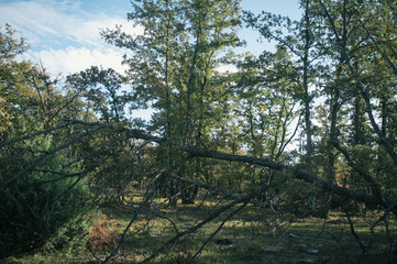Exploring Istria countryside, quiet roads, most of them gravel