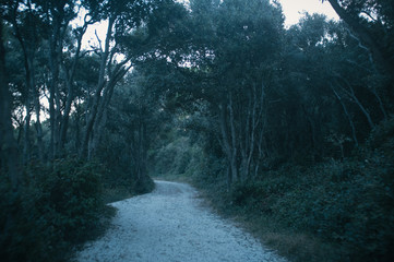 Obraz premium Return from a bike ride, trying to catch the sun setting down