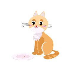 Cute orange cat was eaten all food from plate