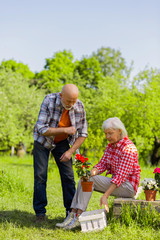 Obraz premium Retired husband and wife enjoying time while taking care of flowers